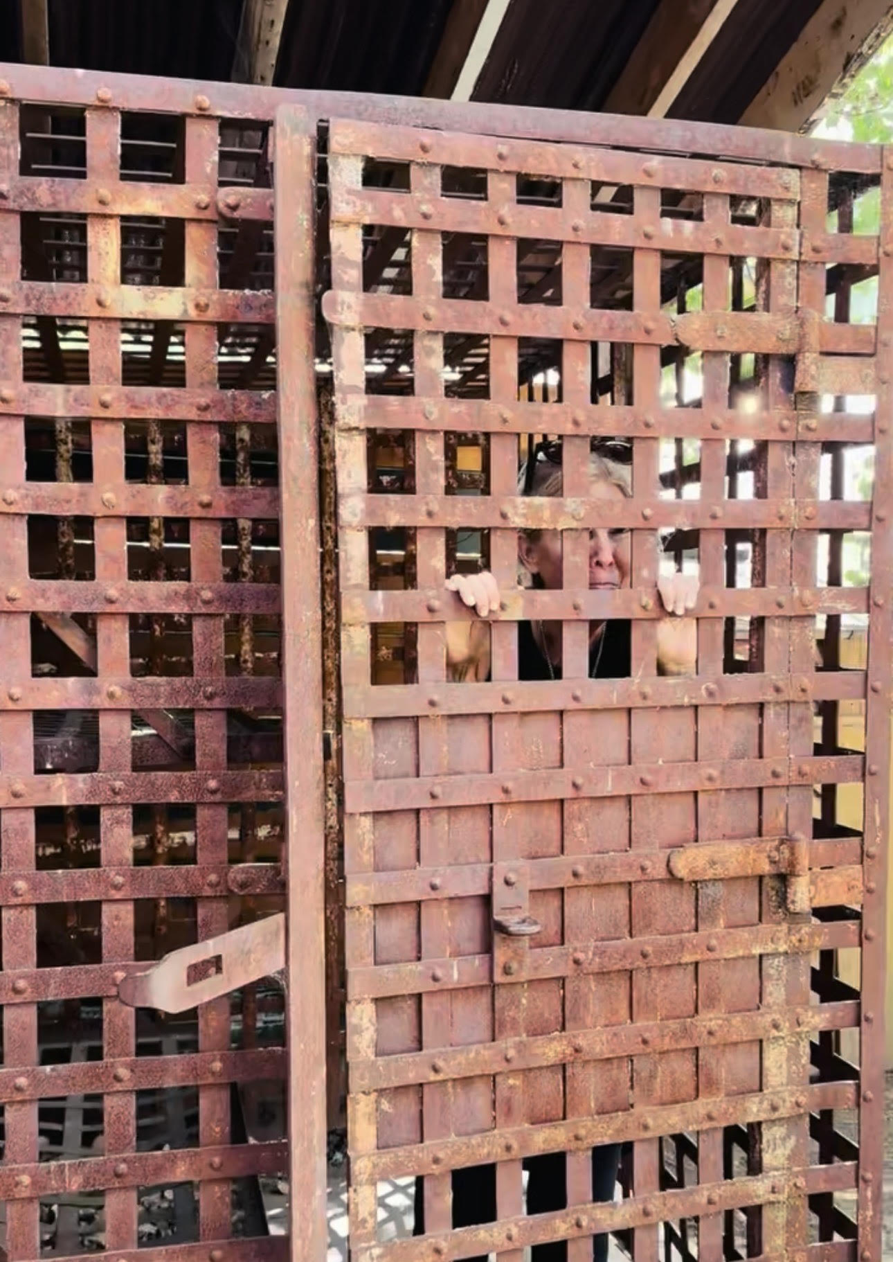 Telluride Walking Tours | Review Trisha Gibson